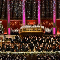 Christmas in Vienna – 2016 Christmas in Vienna – 2016